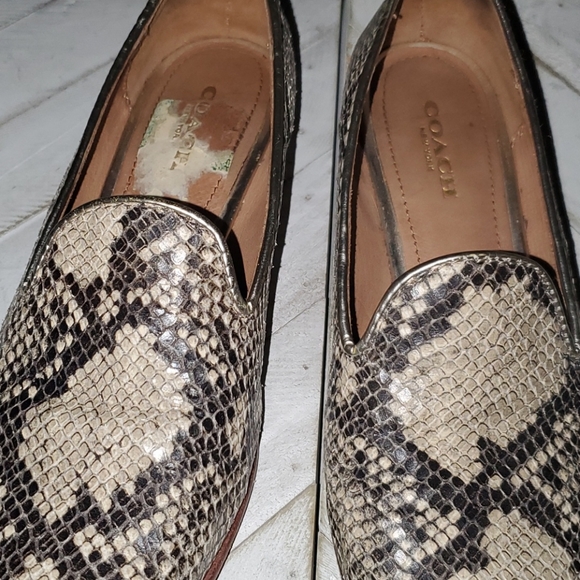 Coach Size 5.5 B Snakeskin Design - Picture 2 of 9